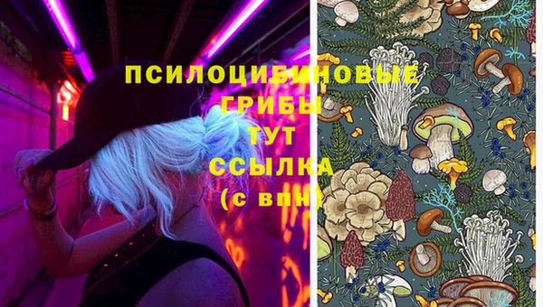 герыч Верхний Тагил
