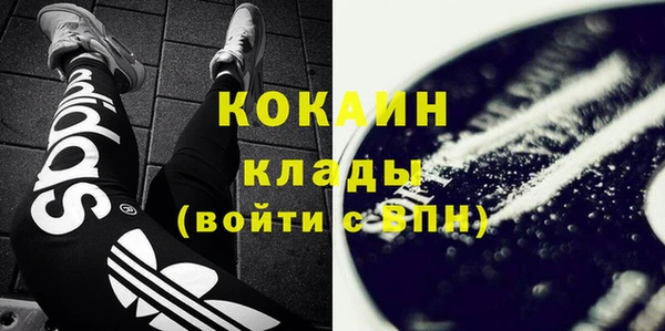 ГАЛЛЮЦИНОГЕННЫЕ ГРИБЫ Семёнов